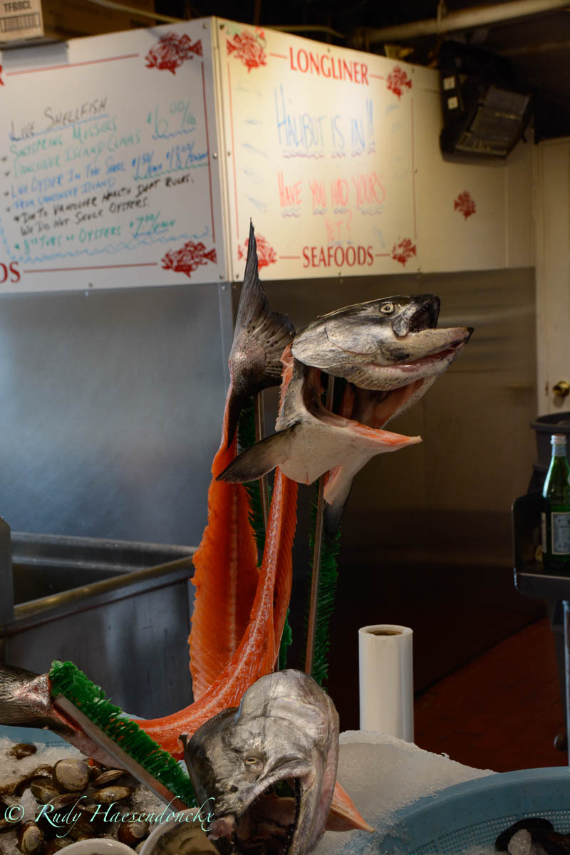 Queen Elisabeth Park & Granville&nbsp;Island