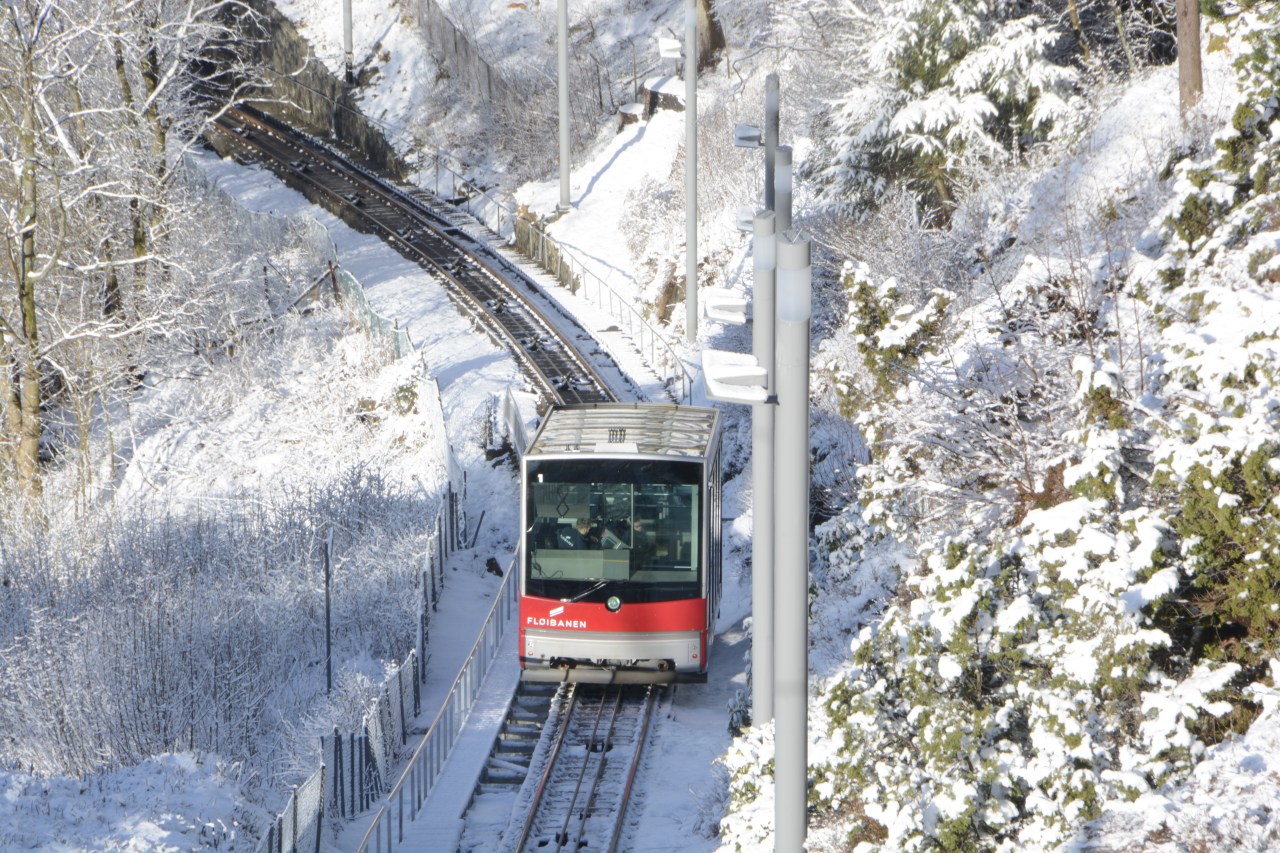 bergtreintje Floibanen