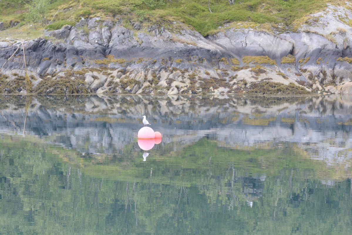 Mo I Rana — >&nbsp;Bodo