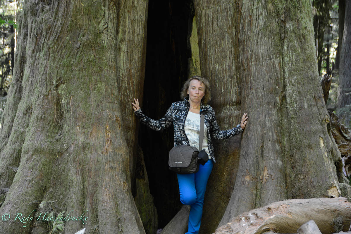 Tofino  –> Campbell&nbsp;River