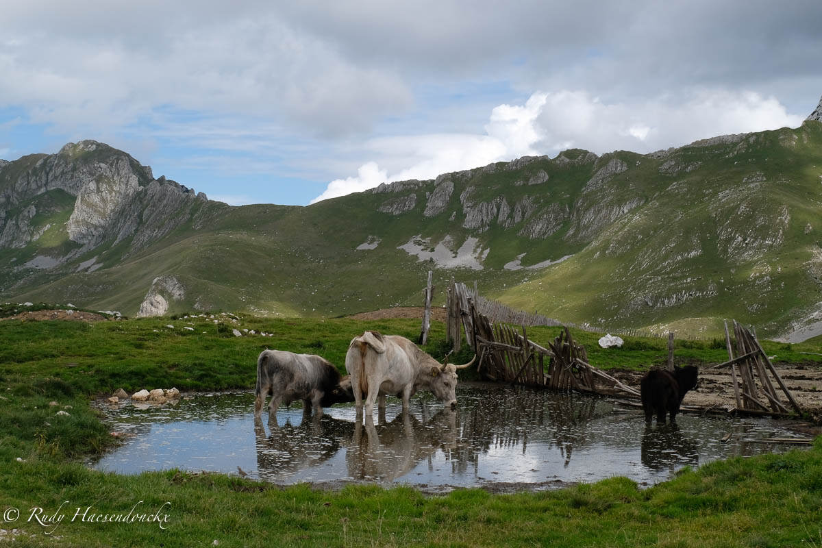 Tara Canyon en Durmitor National&nbsp;Park