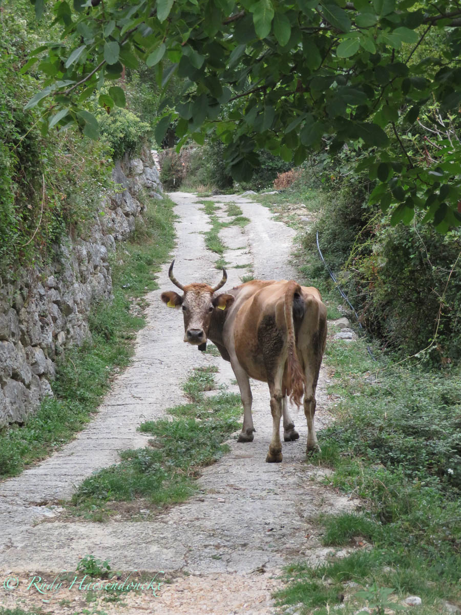 Tripje naar Bar en Stari&nbsp;Bar