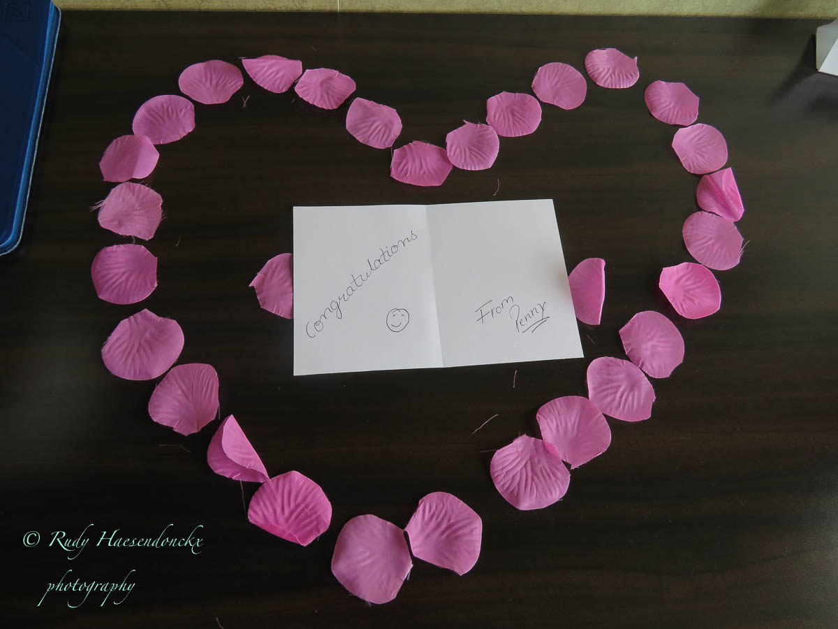 Goodbeye New York, Hello Niagara&nbsp;Falls