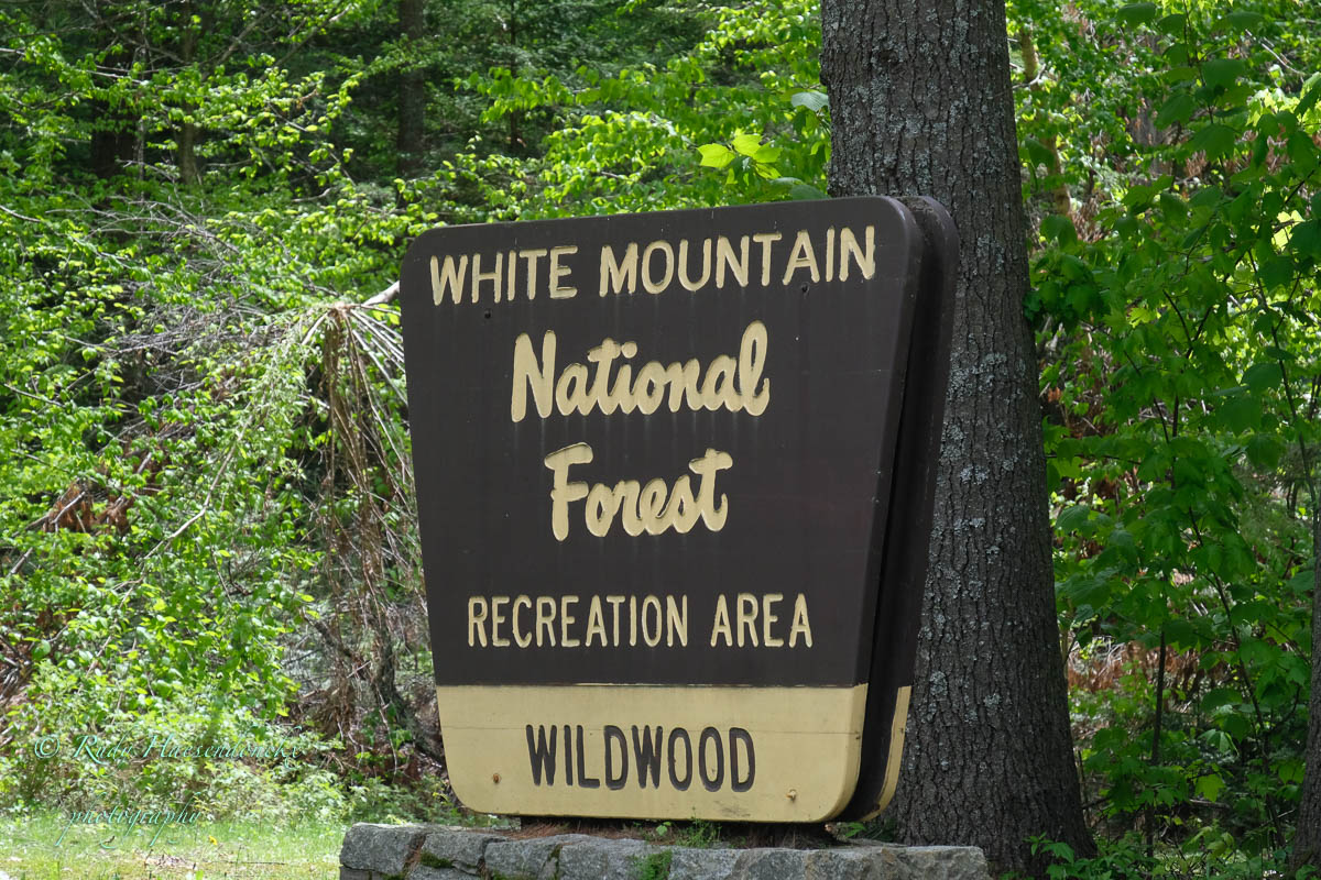 Van Lake Placid naar White&nbsp;Mountains