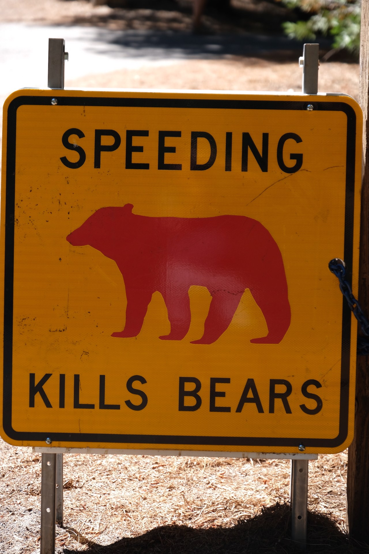 Vrijdag 28/7 Yosemite&nbsp;NP