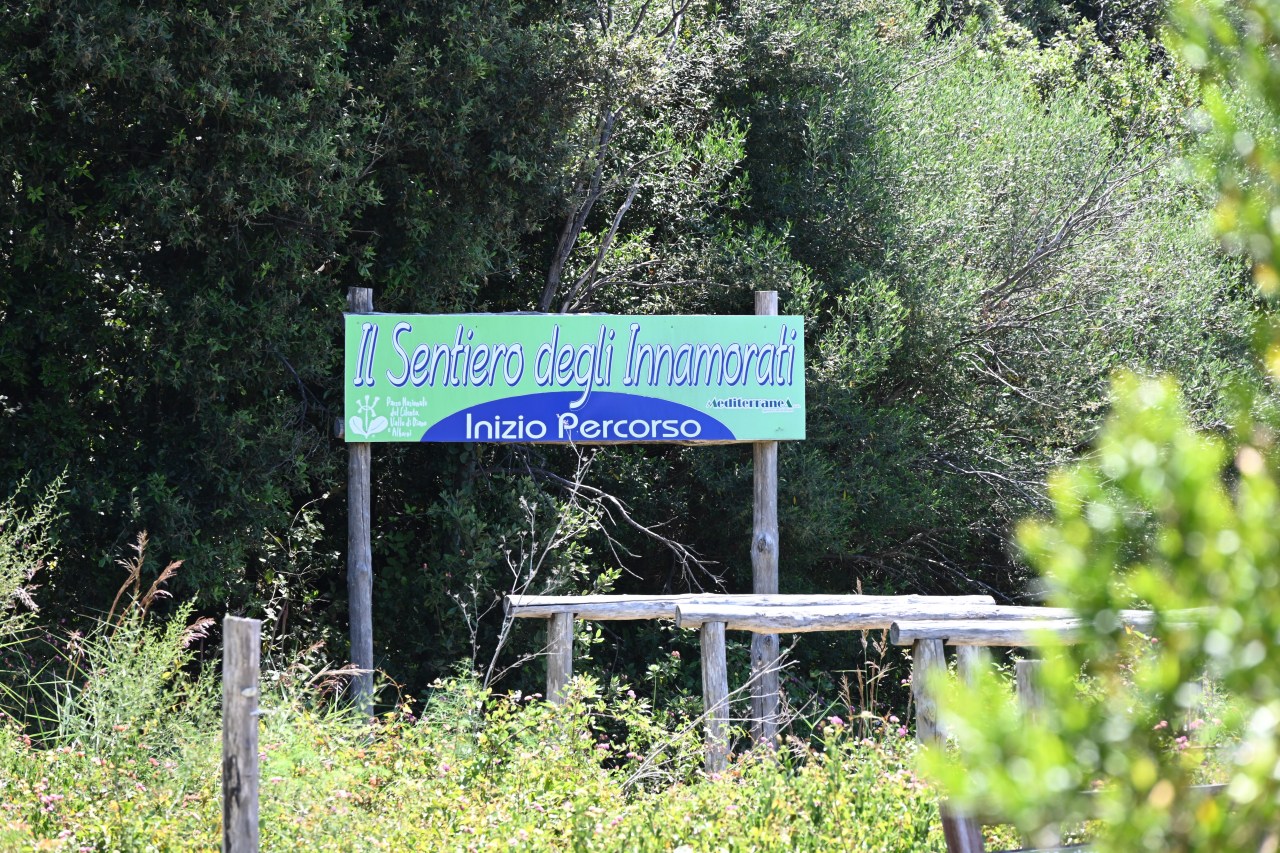 Cilento 02 juni&nbsp;2025